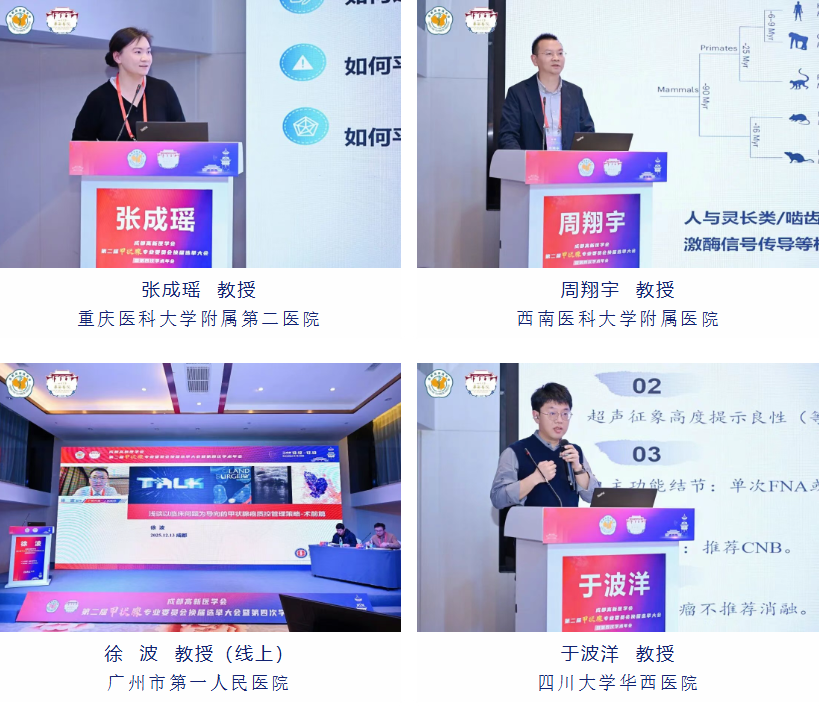 1766452981130760.png e39cf7f5-42d2-471f-8404-822529db7c1e.png